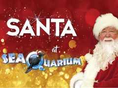 Santa at SeaQuarium