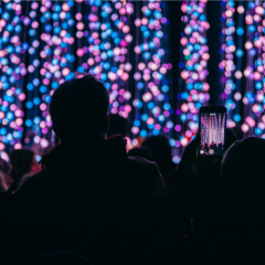 Light Up Bristol