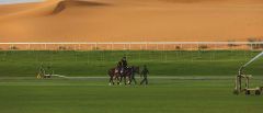 Animal Lovers Dream Horseback Safari at Nofa Wildlife Park