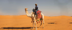 Embark On An Unforgettable Adventure Camel-Back Safari at Nofa