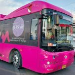 Pink Bus