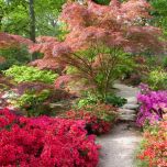 Big garden
