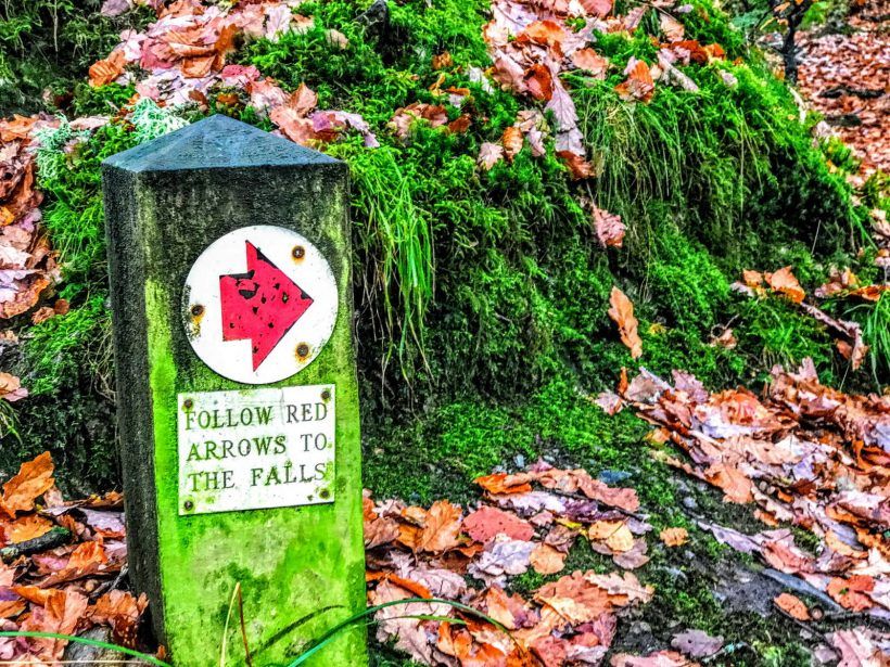 Manchester: Lake District Adventure (Full Day)
